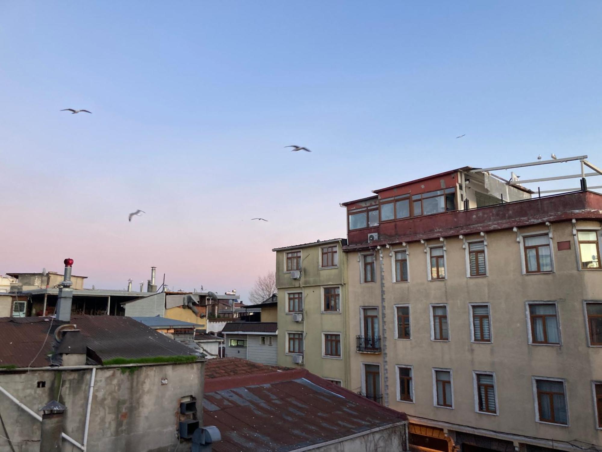 Ulusoy Old City Istanbul Luaran gambar